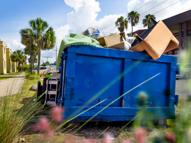 Yard Cleanup Services in Farmville, NC